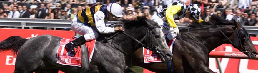 Melbourne Cup Lunch